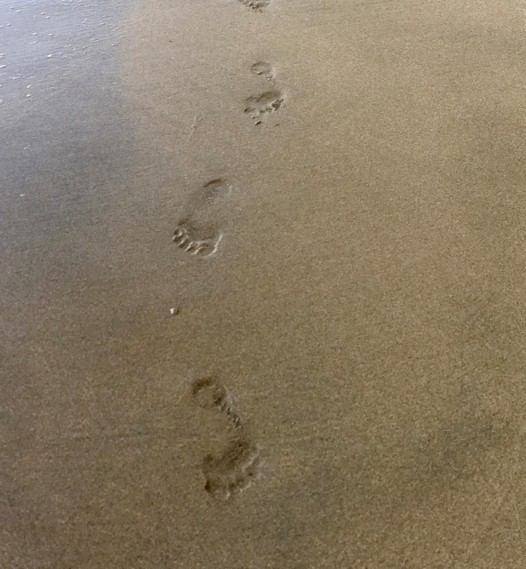 Then you walk the path